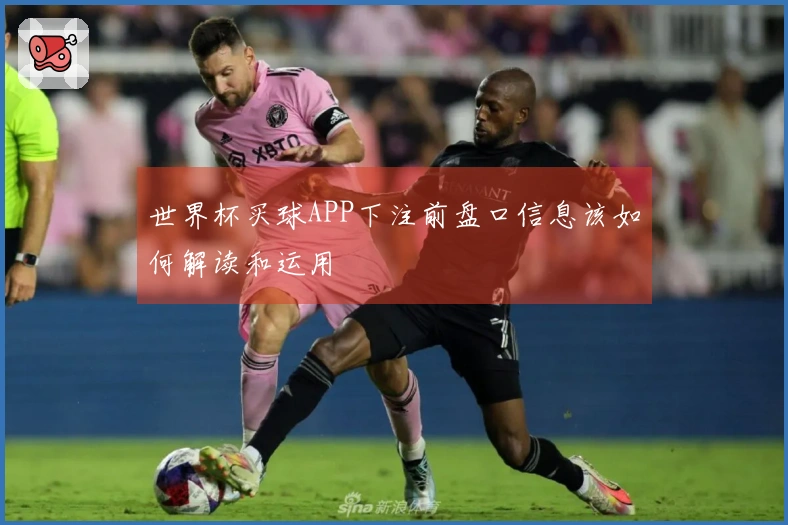 世界杯买球APP下注前盘口信息该如何解读和运用