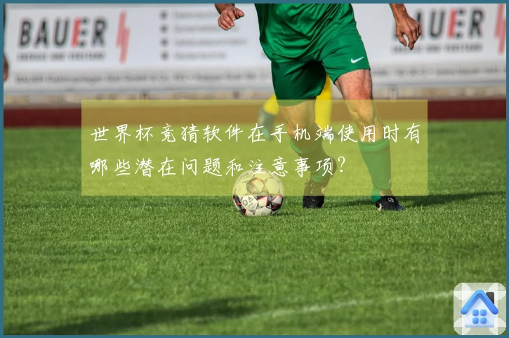 世界杯竞猜软件在手机端使用时有哪些潜在问题和注意事项？