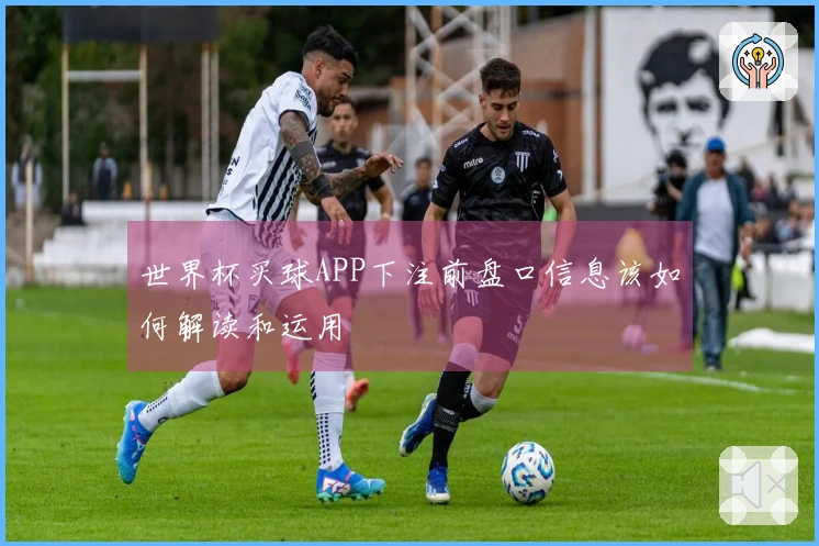 世界杯买球APP下注前盘口信息该如何解读和运用