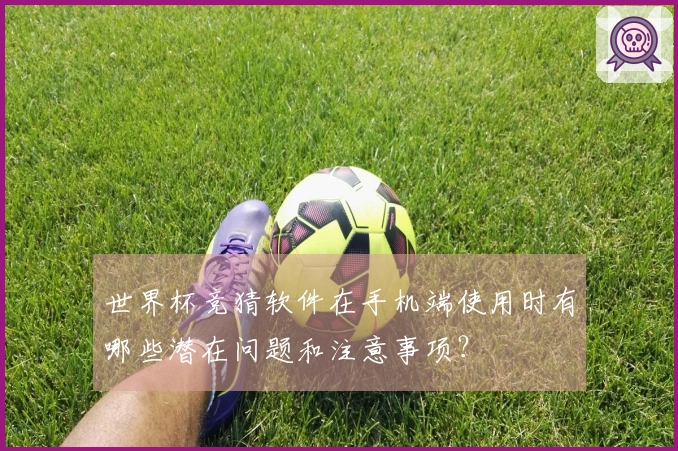世界杯竞猜软件在手机端使用时有哪些潜在问题和注意事项？