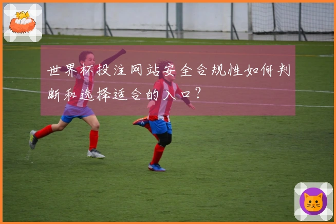 世界杯投注网站安全合规性如何判断和选择适合的入口？