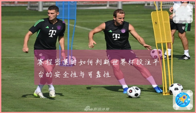 赛程密集时如何判断世界杯投注平台的安全性与可靠性